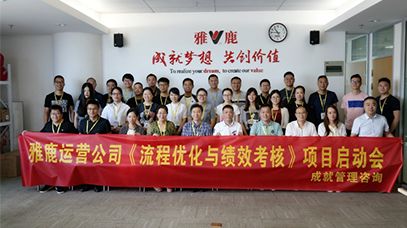 雅鹿股份《流程優(yōu)化與績效提升》項(xiàng)目